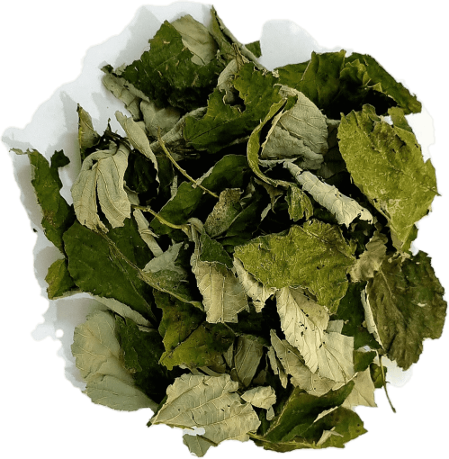 Dried raspberry leaves